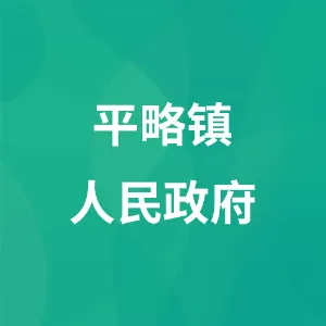 平略镇人民政府