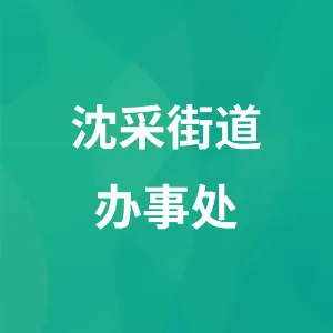 沈采街道团工委