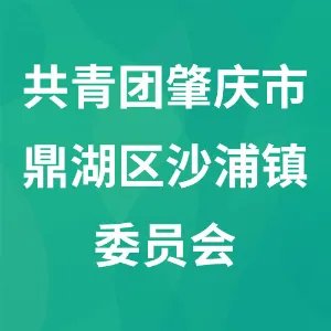 共青团肇庆市鼎湖区沙浦镇委员会