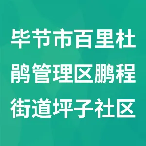 贵州省毕节市百里杜鹃管理区鹏程街道坪子社区