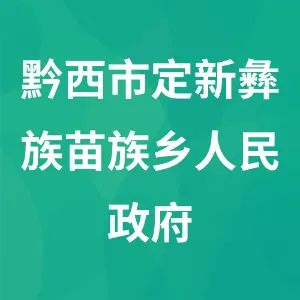 黔西市定新彝族苗族乡人民政府