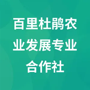 百里杜鹃迎丰村农业发展专业合作社