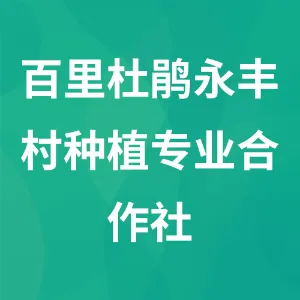 百里杜鹃永丰村种植专业合作社