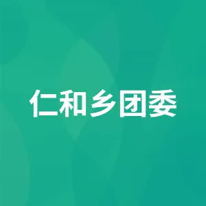 仁和乡团委