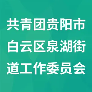 中国共产主义青年团贵阳市白云区泉湖街道工作委员会