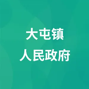 大屯镇人民政府