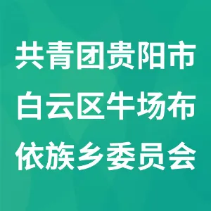 中国共产主义青年团贵阳市白云区牛场布依族乡委员会
