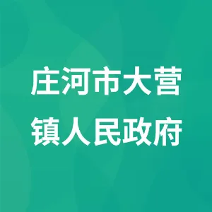 庄河市大营镇人民政府