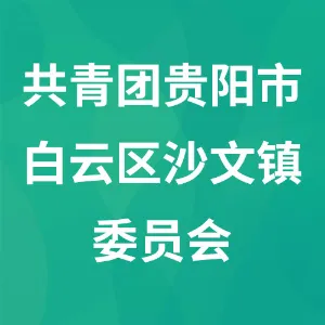 中国共产主义青年团贵阳市白云区沙文镇委员会