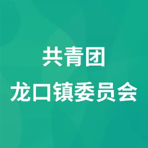 共青团龙口镇委员会