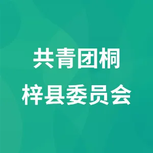 共青团桐梓县委员会
