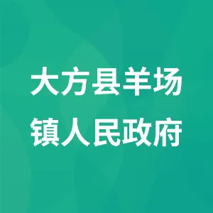 大方县羊场镇人民政府