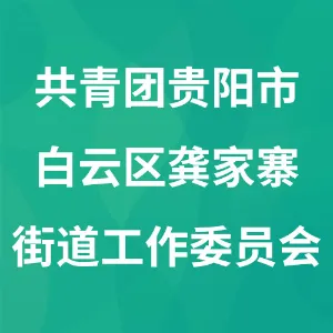 中国共产主义青年团贵阳市白云区龚家寨街道工作委员会