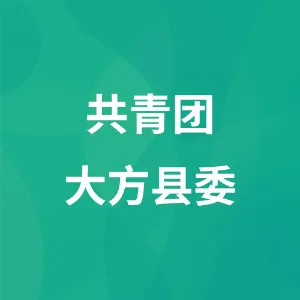 共青团大方县委