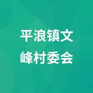 平浪镇文峰村委会