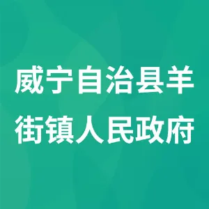威宁自治县羊街镇人民政府