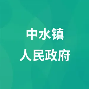 中水镇人民政府