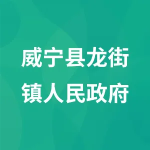 威宁彝族回族苗族自治县龙街镇人民政府