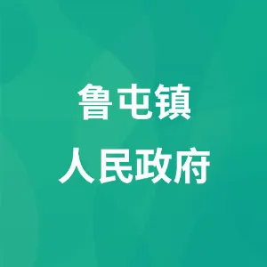 鲁屯镇人民政府