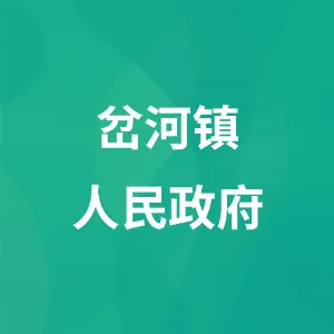 威宁彝族回族苗族自治县岔河镇人民政府
