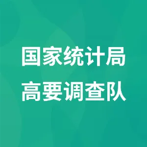 国家统计局高要调查队