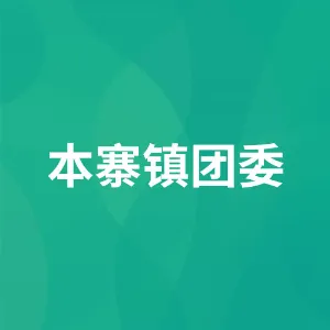 本寨镇团委