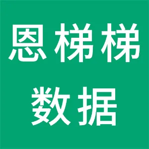 恩梯梯数据（中国）信息技术有限公司西安分公司