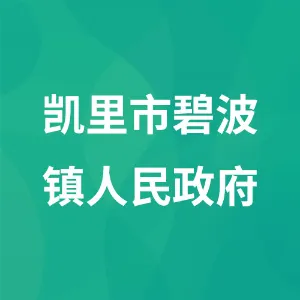 凯里市碧波镇人民政府