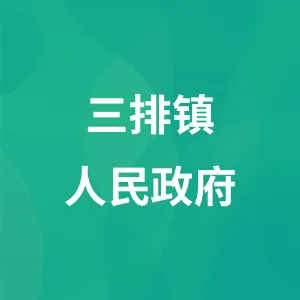 连南瑶族自治县三排镇人民政府