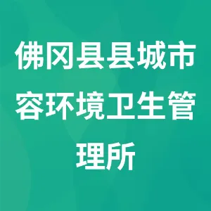 佛冈县县城市容环境卫生管理所