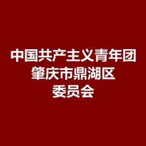 中国共产主义青年团肇庆市鼎湖区委员会