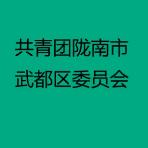 共青团陇南市武都区委员会