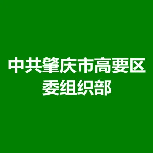 中共肇庆市高要区委组织部