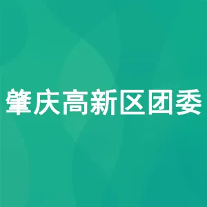 肇庆高新区团委