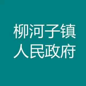 柳河子镇人民政府