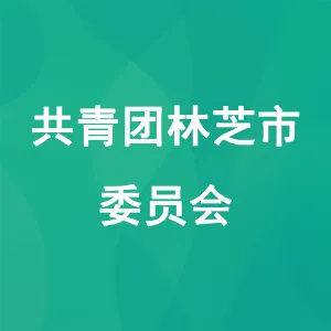共青团林芝市委员会