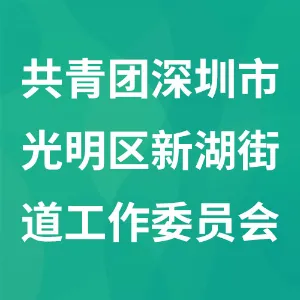 共青团深圳市光明区新湖街道工作委员会