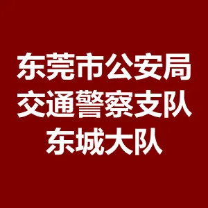 东莞市公安局交通警察支队东城大队