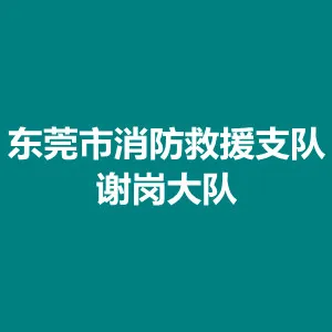 东莞市消防救援支队谢岗大队