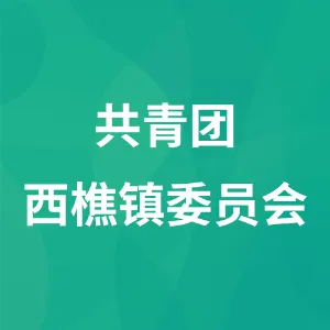共青团西樵镇委员会