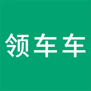 浙江领车车汽车销售有限公司