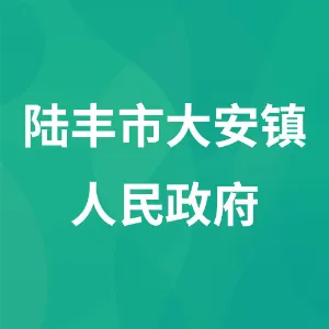 陆丰市大安镇人民政府