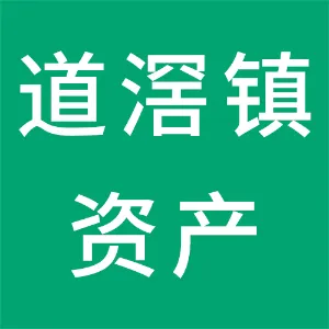 东莞市道滘镇资产经营管理有限公司