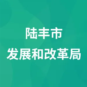 陆丰市发展和改革局