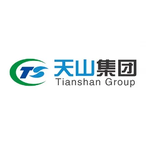 天山房地产开发集团有限公司