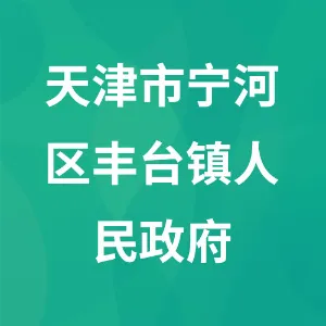 天津市宁河区丰台镇人民政府