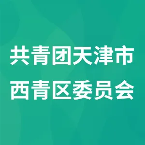 共青团天津市西青区委员会