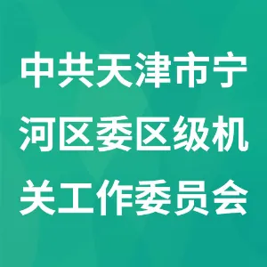 中共天津市宁河区委区级机关工作委员会