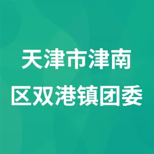 天津市津南区双港镇团委