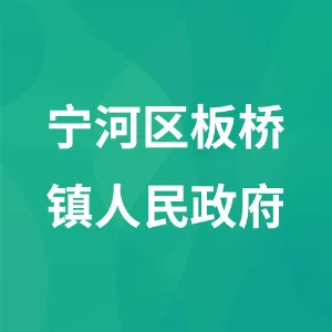 宁河区板桥镇人民政府